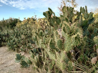 DSC_1114.jpg