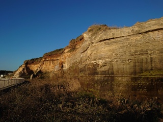 DSC_1235.jpg