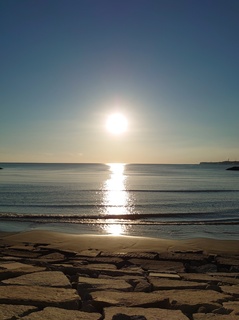 DSC_1242.jpg