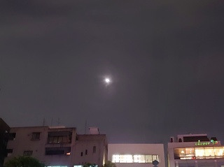 DSC_1246.jpg