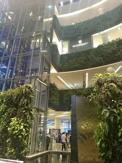 IMG_20151106_200706_R.jpg