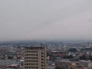 IMG_20160321_094552.jpg