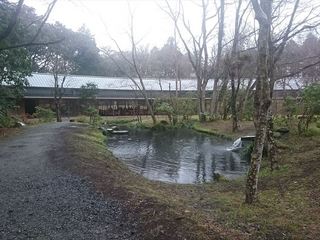 IMG_20160321_113640_R.jpg