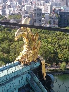 IMG_20160904_151238_R.jpg
