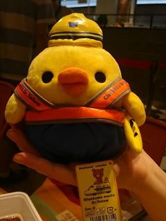 IMG_20160904_192849_R.jpg