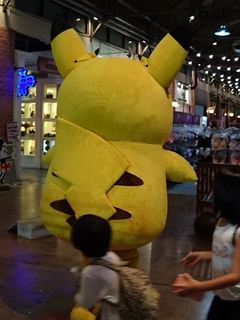 IMG_20170601_192954_R.jpg