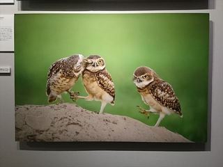 IMG_20170805_142626_1_R.jpg