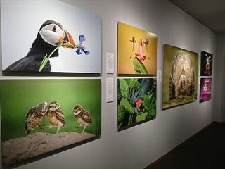 IMG_20170805_142732_R.jpg