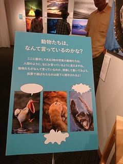IMG_20170805_143335_R.jpg