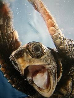 IMG_20170805_143952_R.jpg