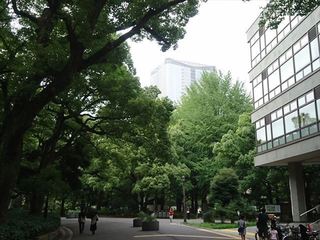 IMG_20170805_153413_R.jpg