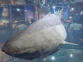 IMG_20170813_154739_087_R.jpg