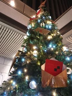 IMG_20171206_173449_R.jpg