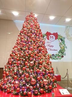 IMG_20171221_173448_R.jpg