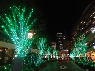 IMG_20171221_191407_R.jpg