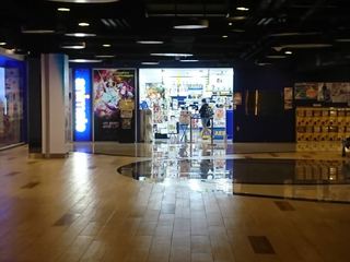 IMG_20180209_113140_R.jpg