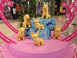 IMG_20180210_103634_R.jpg