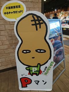 IMG_20180304_164512_R.jpg