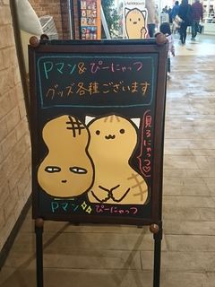 IMG_20180304_164520_R.jpg