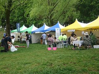 IMG_20180415_110313_R.jpg