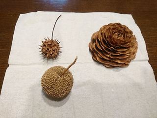 IMG_20180415_185610_R.jpg
