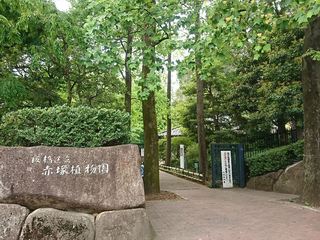 IMG_20180423_101021_R.jpg