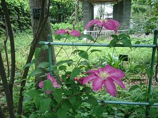 IMG_20180423_102043_R.jpg