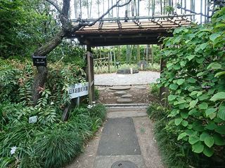 IMG_20180423_102733_R.jpg