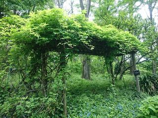 IMG_20180423_104259_R.jpg