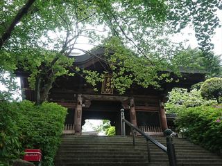 IMG_20180423_110807_R.jpg