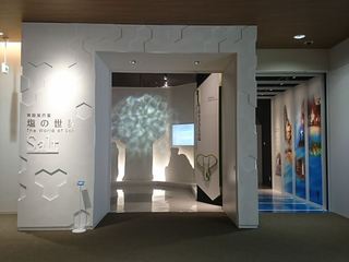 IMG_20180427_123926_R.jpg