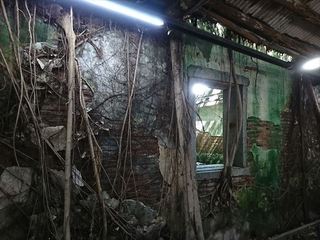 IMG_20180629_144531_R.jpg