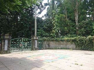 IMG_20180630_115805_R.jpg