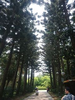 IMG_20180630_115858_R.jpg