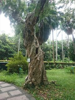 IMG_20180630_120551_R.jpg