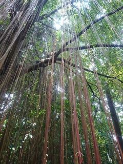 IMG_20180630_122647_R.jpg