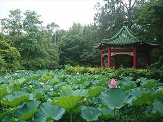 IMG_20180630_125645_R.jpg