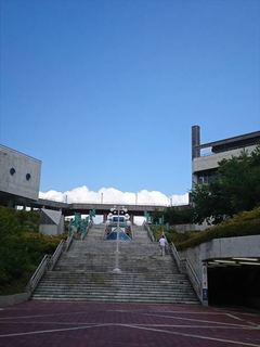 IMG_20180905_134608_R.jpg