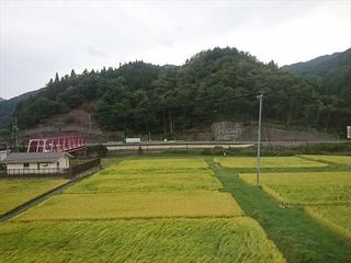 IMG_20180906_140721_R.jpg