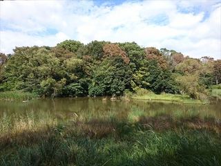 IMG_20181020_120722_R.jpg