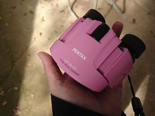 IMG_20181020_130326_R.jpg