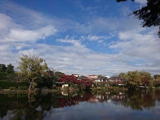 IMG_20181124_120334.jpg