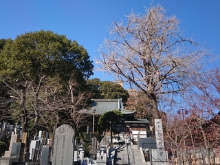 IMG_20190114_115332.jpg