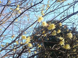 IMG_20190119_144906_R.jpg