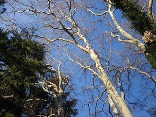 IMG_20190119_145921_R.jpg