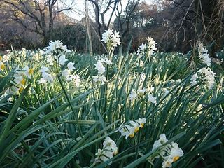 IMG_20190119_153751_R.jpg