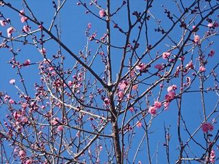 IMG_20190126_103626_R.jpg