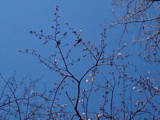 IMG_20190202_134112_R.jpg