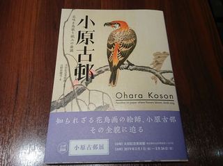 IMG_20190315_143325_R.jpg